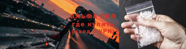 стафф Тында