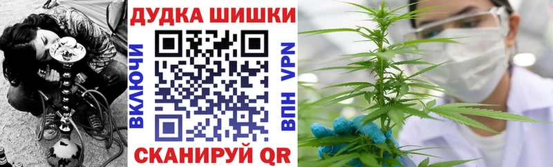 mega вход  Аткарск  Каннабис сатива 